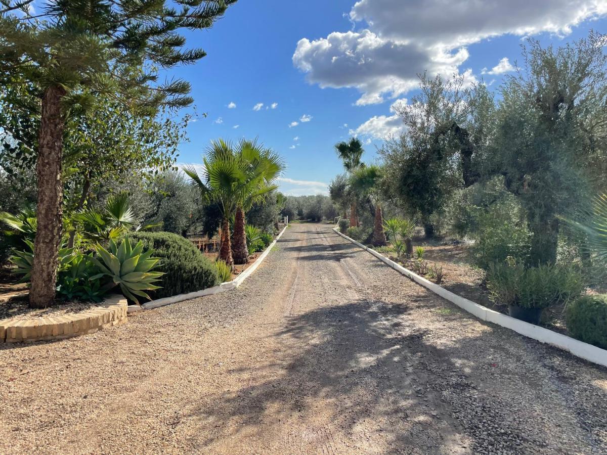 El Paraiso Del Olivar Bollullos de la Mitación Esterno foto