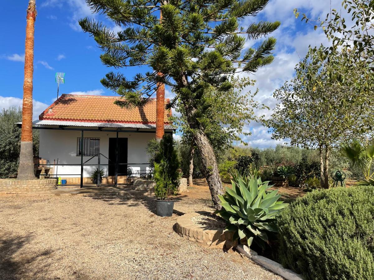 El Paraiso Del Olivar Bollullos de la Mitación Esterno foto