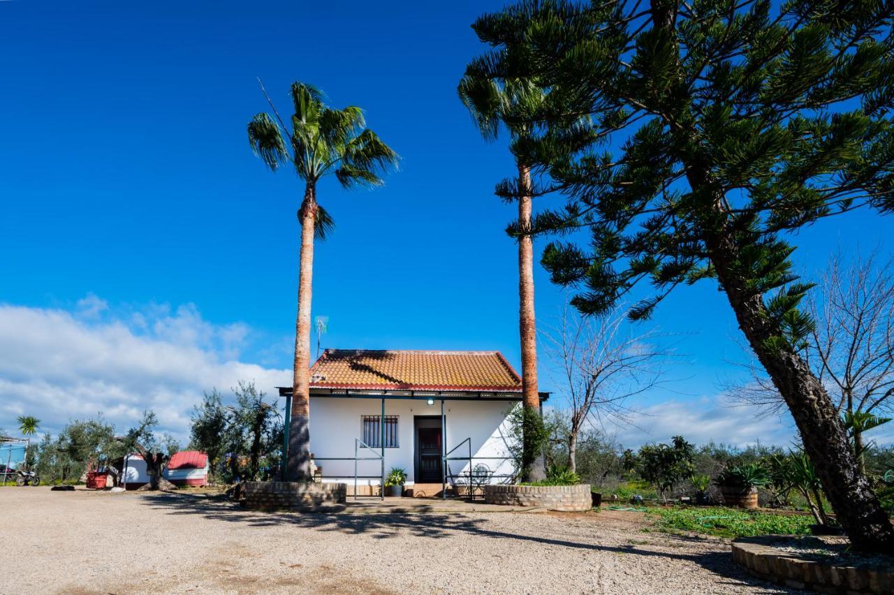 El Paraiso Del Olivar Bollullos de la Mitación Esterno foto