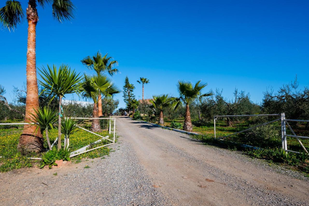 El Paraiso Del Olivar Bollullos de la Mitación Esterno foto