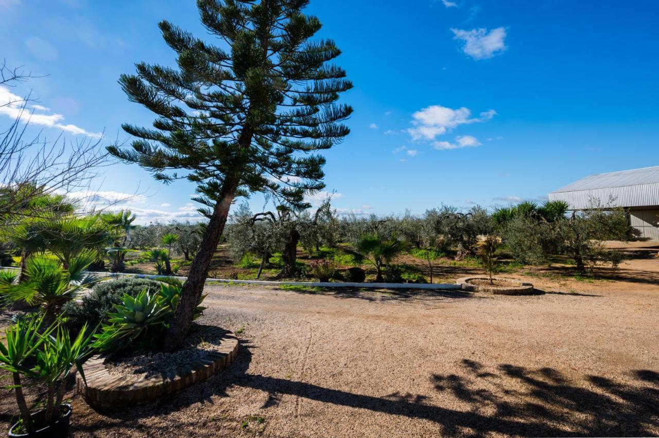 El Paraiso Del Olivar Bollullos de la Mitación Esterno foto