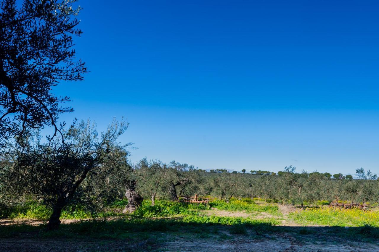 El Paraiso Del Olivar Bollullos de la Mitación Esterno foto